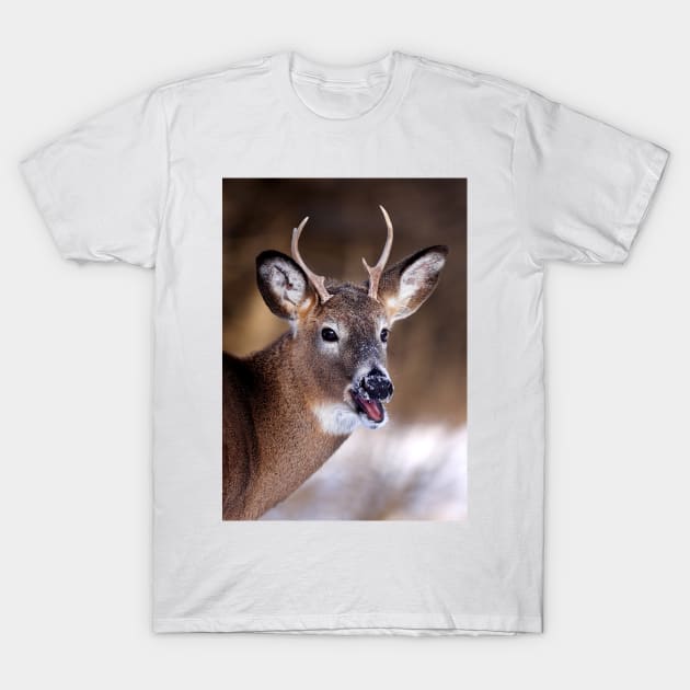 White-tailed Deer T-Shirt by Jim Cumming